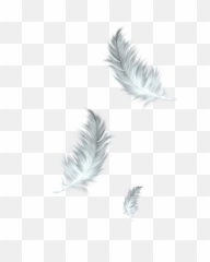 Floating Feather Transparent Png - Transparent Floating Feathers Png,Black Feather Png