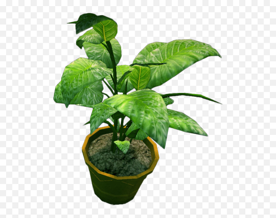 Potted Plant Png Transparent - Potted Plants From Top View,Plant Top View Png