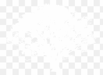 White Oak Tree Clipart - Kayu Malam Production png