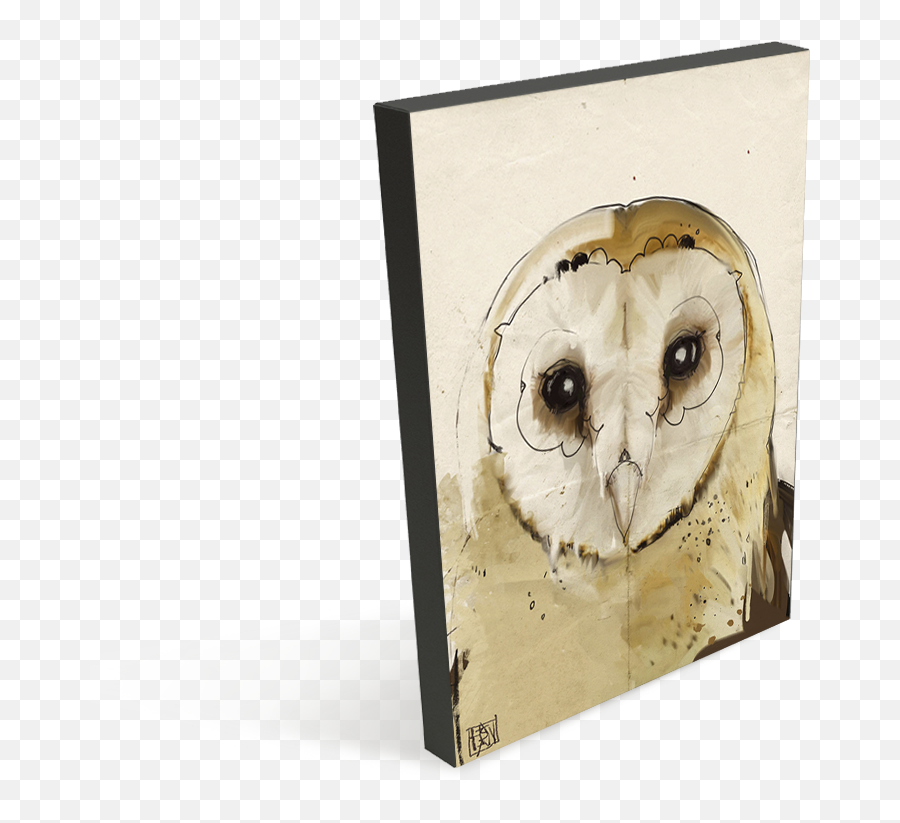 Download Barn Owl - Barn Owl Png,Barn Owl Png