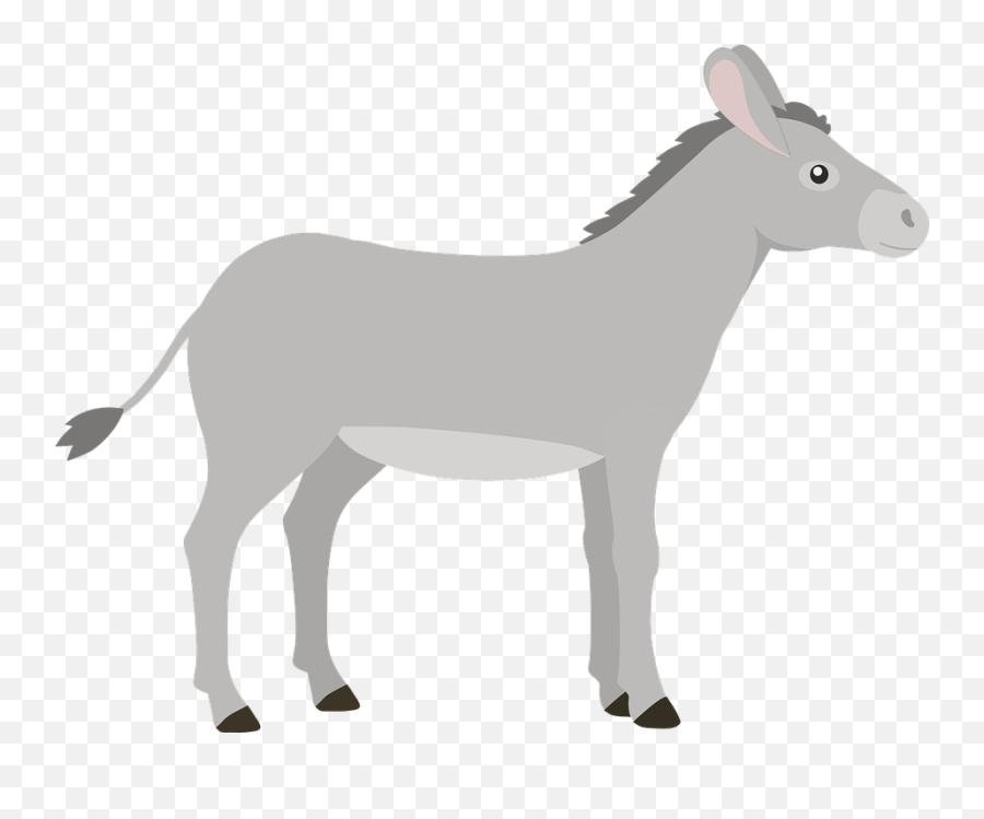 Donkey Mammal Animal - Free Vector Graphic On Pixabay Burro Png,Burro Png