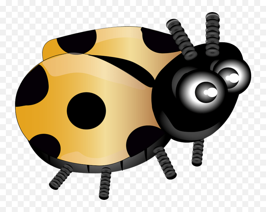 Download Yellow Ladybug Clipart - Eight Lady Bird Clipart Clip Art Png,Lady Bug Png