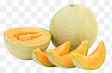 Musk Melon Slices - Muskmelon Sun Melon Png,Melon Png