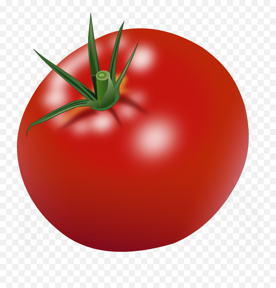 Red Tomatoes Png Image - Tomato Clipart,Tomato Transparent Background