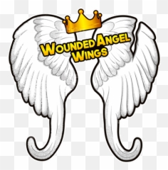 Our Story - WOUNDED ANGEL WINGS Solid png
