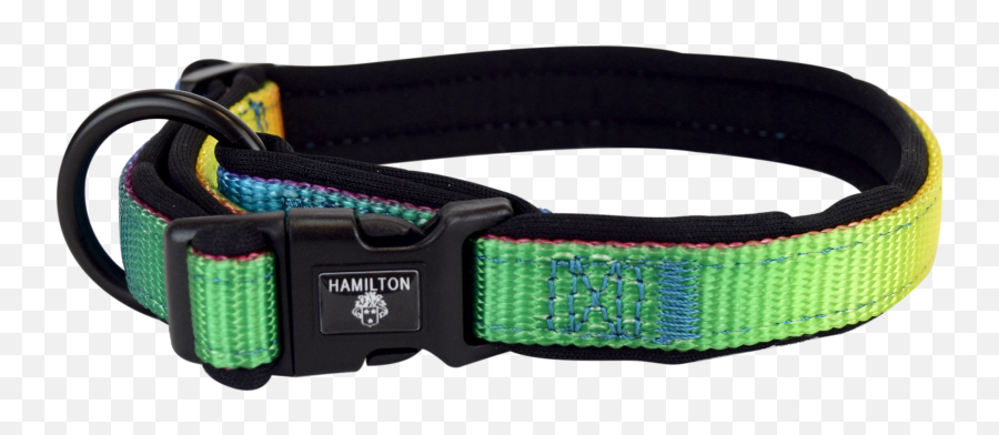 Rainbow Collars With Neoprene Padding U2013 Hamilton Products - Martingale Png,Dog Collar Png Rainbow Collars With Neoprene Padding U2013 Hamilton Products - Martingale Png,Dog Collar Png