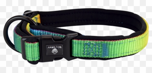 Rainbow Collars With Neoprene Padding U2013 Hamilton Products - Martingale Png,Dog Collar Png
