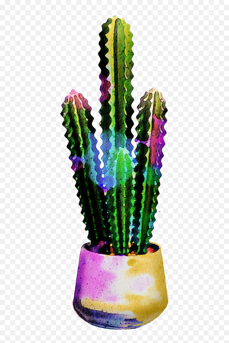 Watercolor Cactus Succulents Cacti - Free Image On Pixabay Potted Cactus Png,Cactus Transparent Background