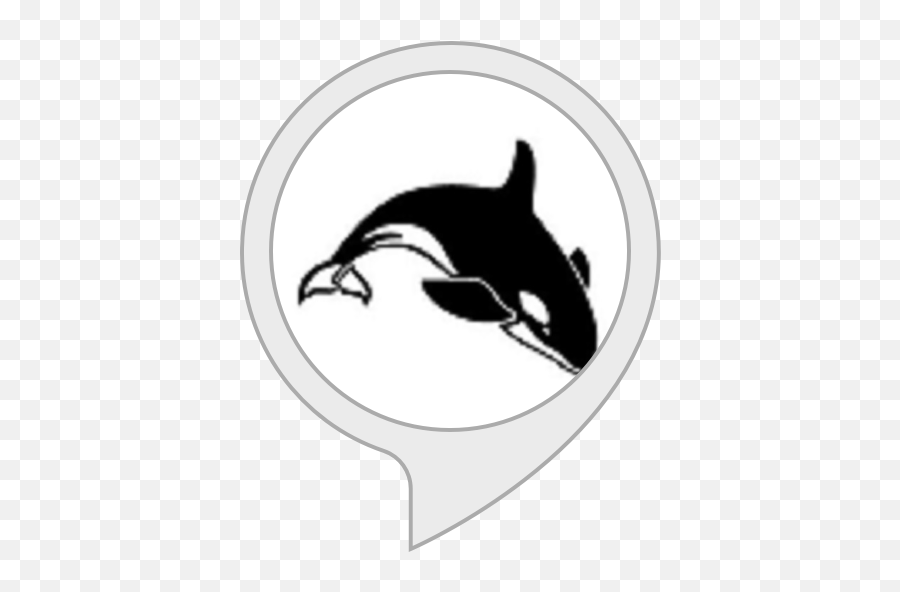 Orca Expert - Black And White Whale Clipart Png,Killer Whale Png