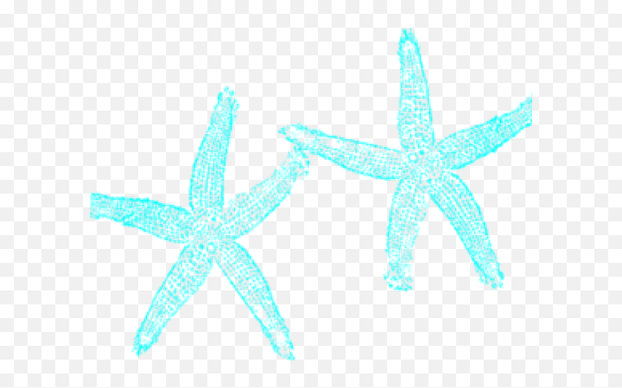 Blue Starfish Cliparts - Fish Clip Art Transparent Cartoon Fish Clip Art Png,Blue Starfish Logo
