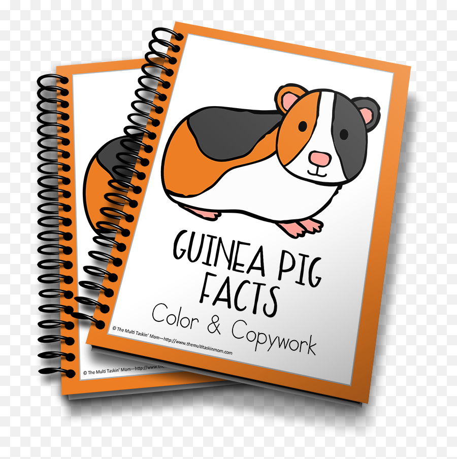 Guinea Pig Facts Color U0026 Copywork - The Multi Taskinu0027 Mom Mine Craft Stationary Png,Guinea Pig Png