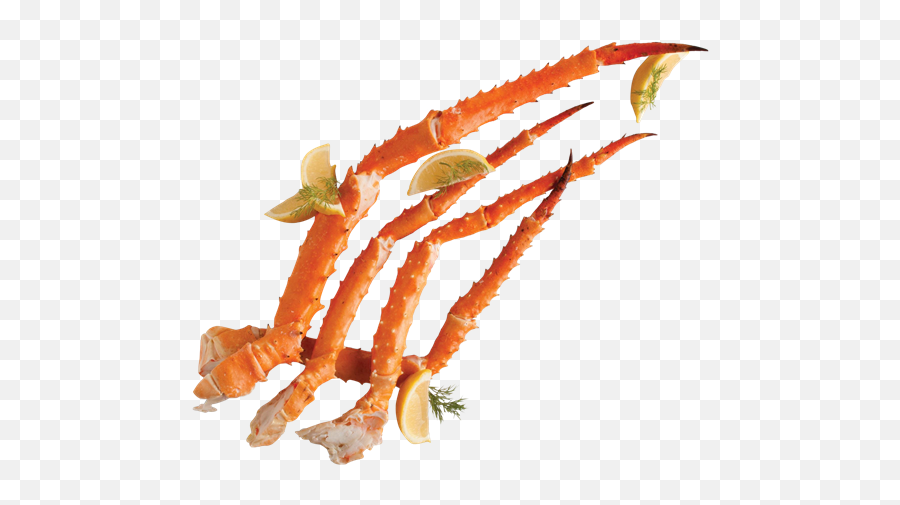 Alaska King Crab Legs Size - Crabs Legs Png,Crab Legs Png