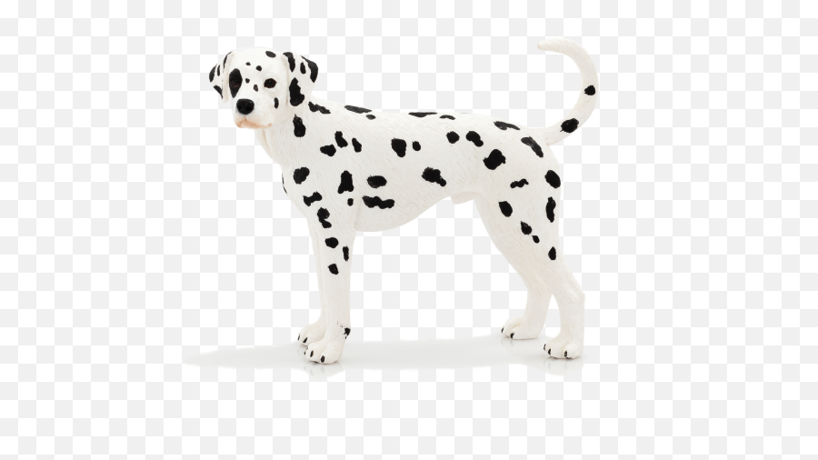 Animal Planet Dalmatian Png