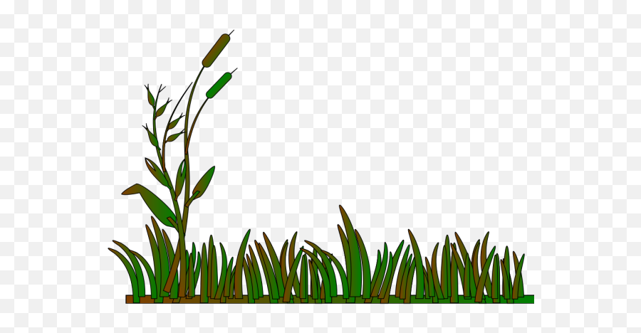 Cattails Outline Greenbrown Png Icons - Grass Border Clip Cartoon Rumput Png,Minecraft Grass Block Icon