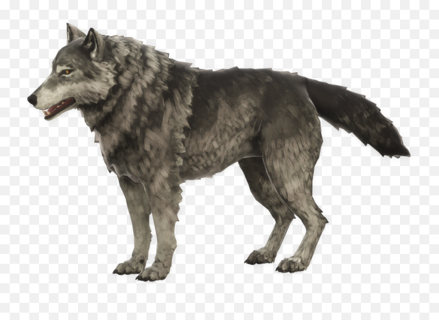 Timberwolf - Long Dark Wolves Png,Black Wolf Icon