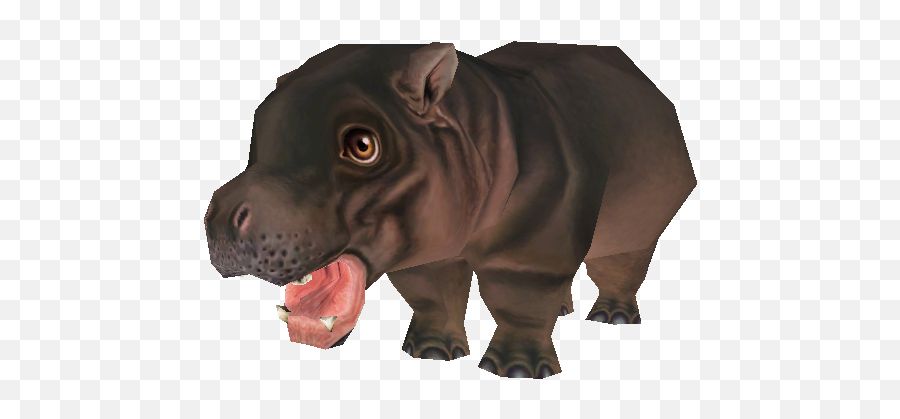 Pc Computer - Zoo Tycoon 2 Pygmy Hippotamus Calf The Hippo Zoo Tycon 2 Png,Zoo Tycoon 2 Icon