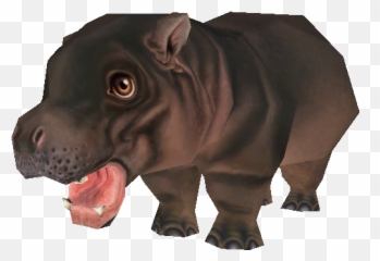 Pc Computer - Zoo Tycoon 2 Pygmy Hippotamus Calf The Hippo Zoo Tycon 2 Png,Zoo Tycoon 2 Icon