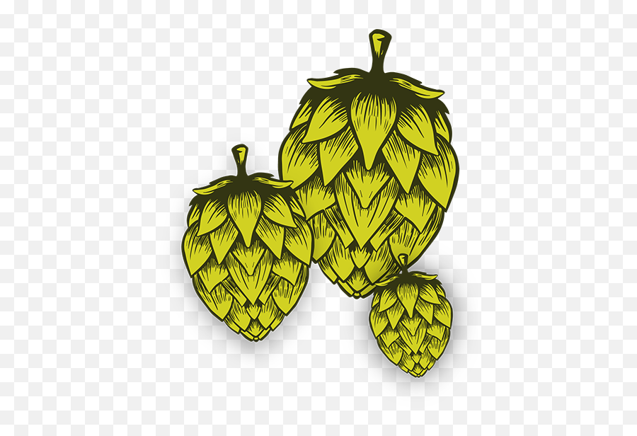 Aromazyme - Fresh Png,Hop Icon