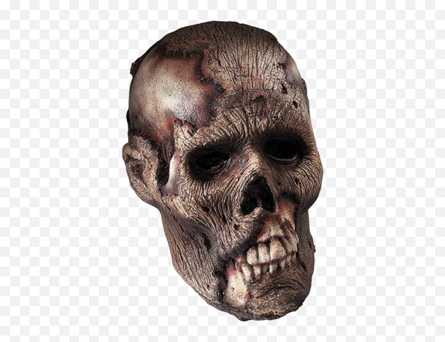 Download Skeleton Head Png Clipart - Zombie Skull Png,Skeleton Face Png