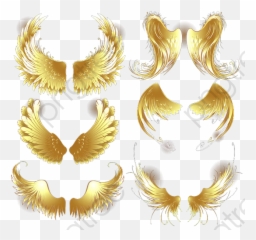 Wings Png Gold - Transparent Background Gold Wing,Gold Wings Png