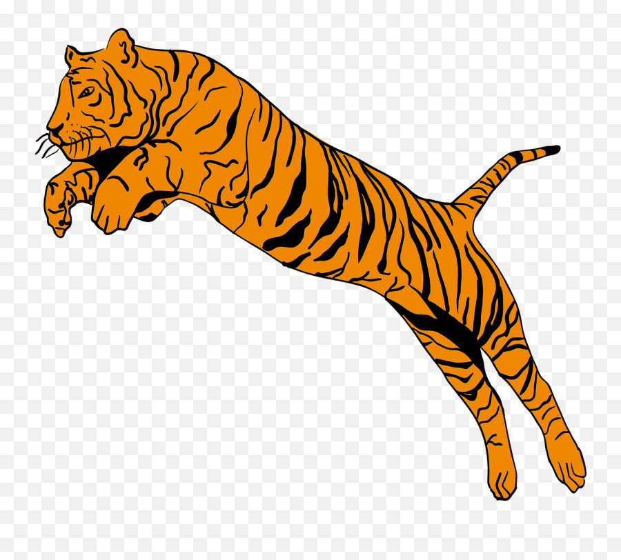 Tiger Animal Jump - Free Vector Graphic On Pixabay Tiger Jump Clipart Png,Jump Png