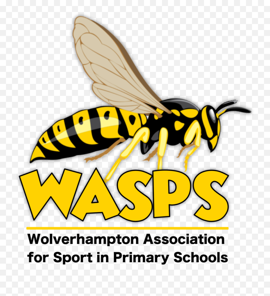 Sport In Wolverhampton Primary Schools Png Wasp