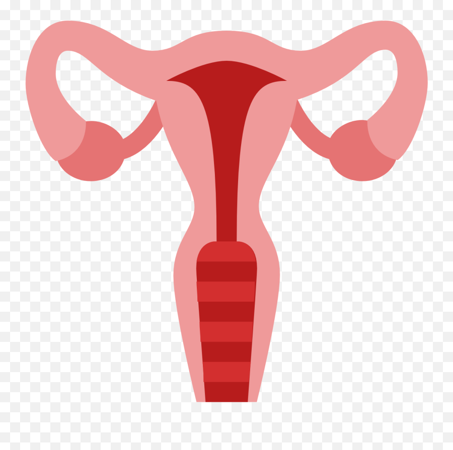 Vagina Vector Transparent Png Clipart - Transparent Uterus Clipart,Vagina Png