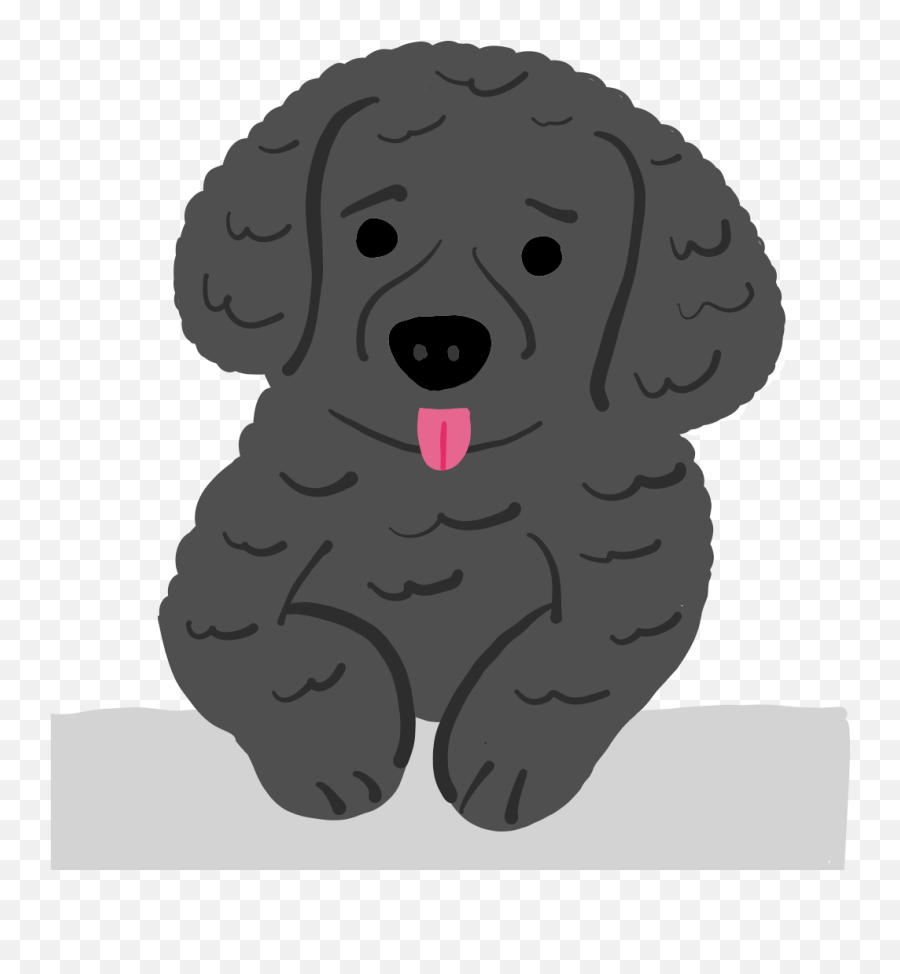 Illustrations U2014 Jeffrey Yan Png Poodle Icon