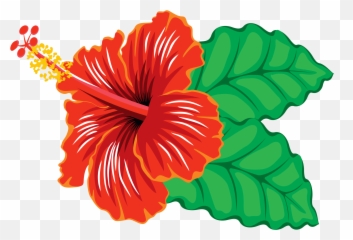 78 Big Image Png Hibiscus Clipart Clipartlook - Clipart Of Hibiscus Flowers,Flower Cartoon Png