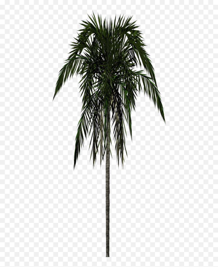 Index Of Statictextures - Palm Tree Png 3d,Palm Png