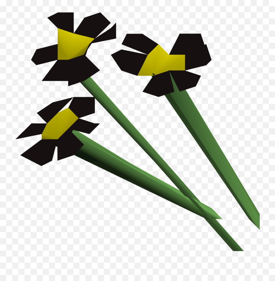 Black Flowers - Osrs Flower Black Png,Black Flower Png