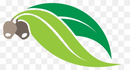 Clipart Leaf Logo Transparent Free For - Gum Leaves Art png