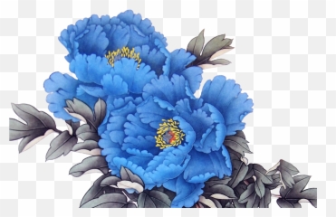 Download Peony 14171417 Transprent Png Free - Blue Blue Peonies Clip Art,Peonies Png