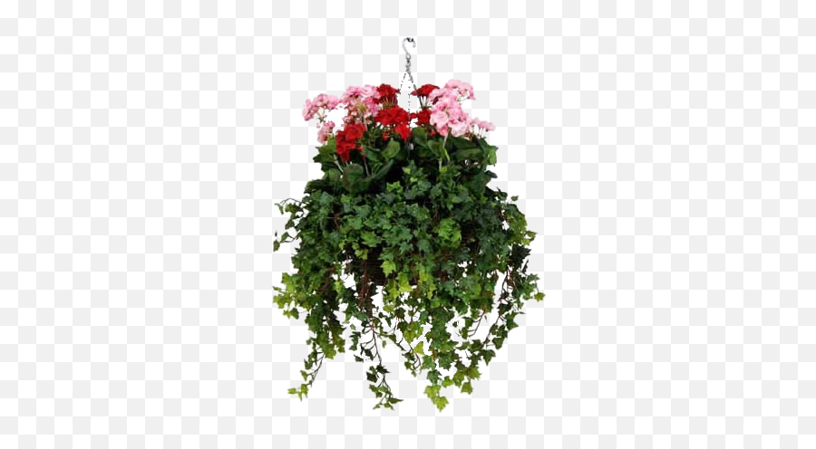 Download Hanging Baskets Container - Hanging Baskets Png,Hanging Plants Png