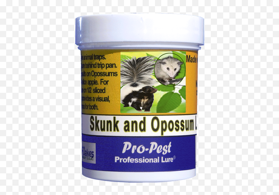 Pro - Rat Png,Possum Transparent