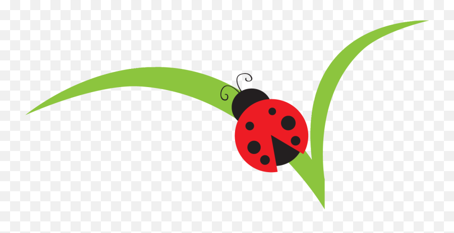 Lady Beetle Clipart Cute - Miraculous Tales Of Ladybug Cute Ladybug On Leaf Png,Lady Bug Png