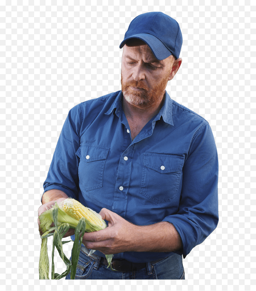 Farmer Png Images Image - Real Farmer Transparent Background,Crops Png