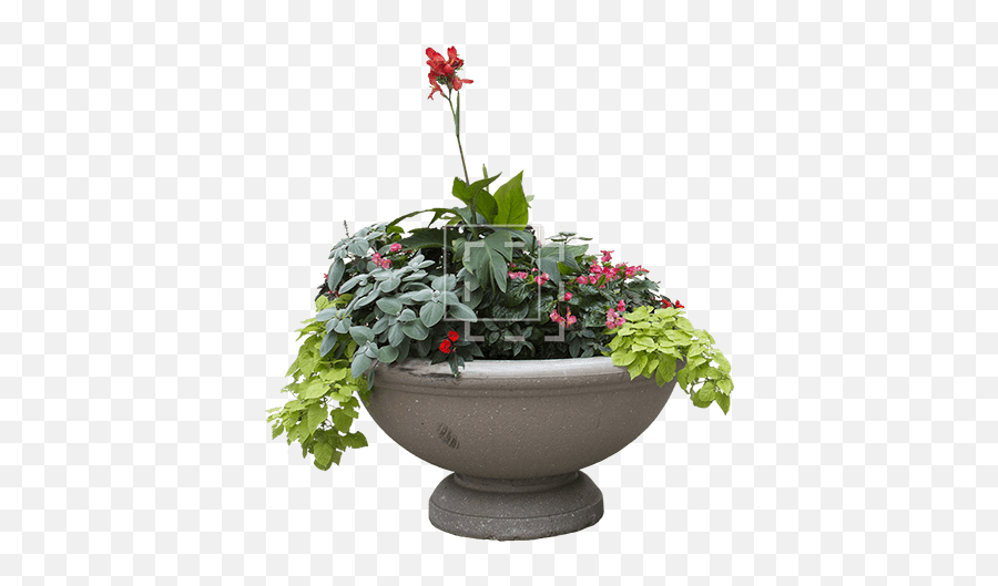 Planter With Overflowing Plantlife - Immediate Entourage Flower Planter Png,Planter Png