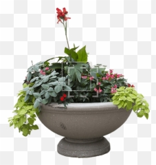 Planter With Overflowing Plantlife - Immediate Entourage Flower Planter Png,Planter Png