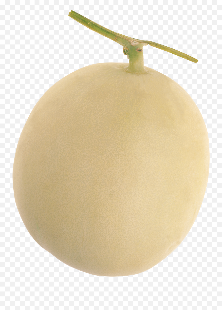 Melon Png - Kiwifruit,Melon Png
