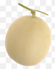 Melon Png - Kiwifruit,Melon Png