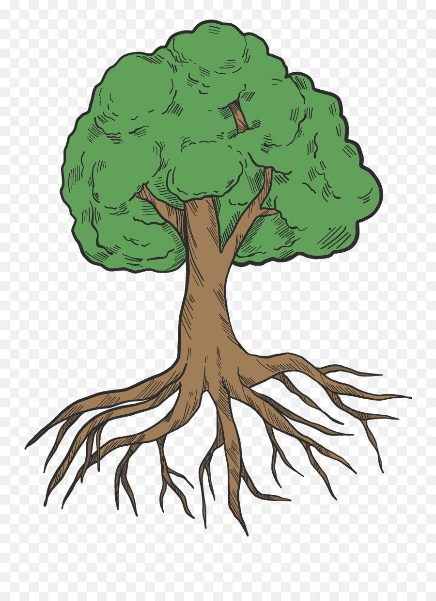 Tree With Roots Clipart Free Download Transparent Png - Root,Tree With Roots Png