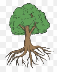 Tree With Roots Clipart Free Download Transparent Png - Root