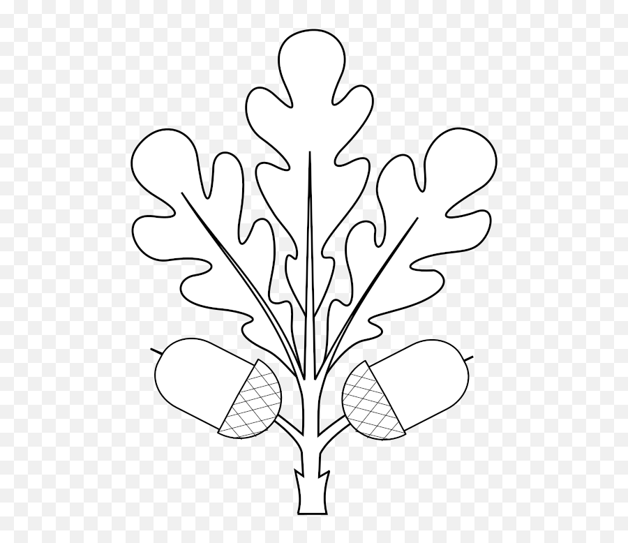 Oak Leaf Png - Heraldry Oak Leaf Fructed Oak Leaf Svg Stencil,Oak Leaf Png