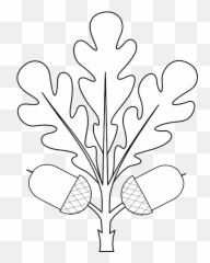 Oak Leaf Png - Heraldry Oak Leaf Fructed Oak Leaf Svg Stencil,Oak Leaf Png