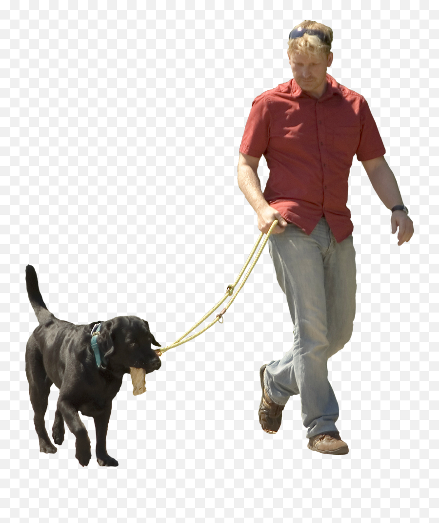 Download Hd Pet Sitting Puppy Shock - Person Walking Dog Transparent Background Png,Dog Sitting Png
