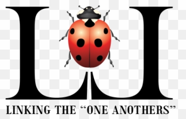 Support Links Of Love - Ladybird Beetle png