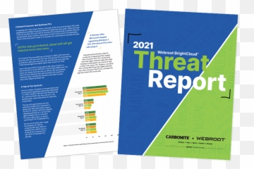 2021 Webroot Threat Report - CyberEdge Group Vertical png