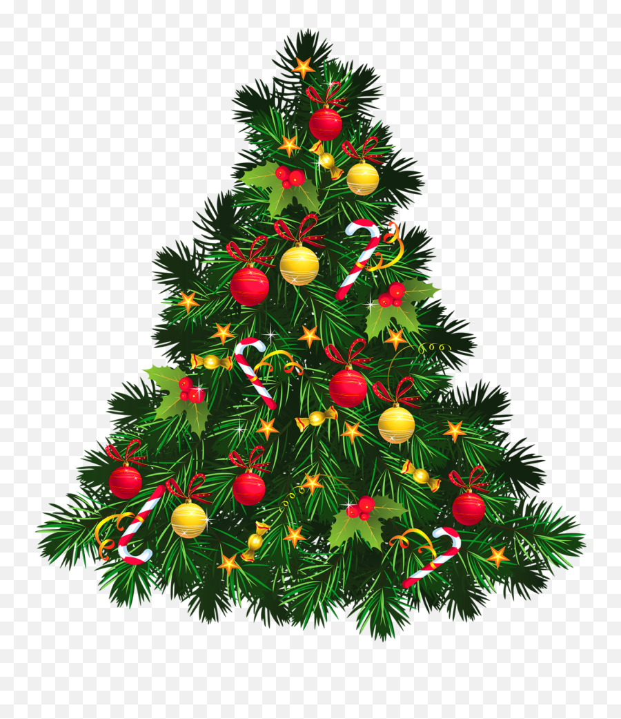 Hq Christmas Png Transparent Christmaspng Images Pluspng - Christmas Tree Png File,Christmas Light Transparent Background