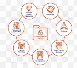 Lead Training Providers U0026 Employer - ACE360 png